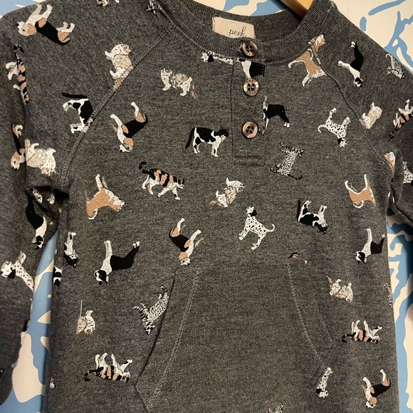 Cats n’ Dogs Jumper - Picture 2 of 2